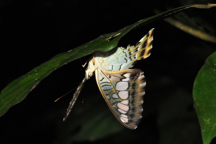按此在新視窗瀏覽圖片