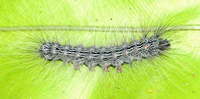 按此在新視窗瀏覽圖片