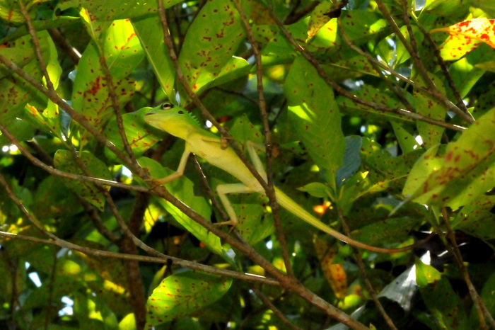 按此在新視窗瀏覽圖片