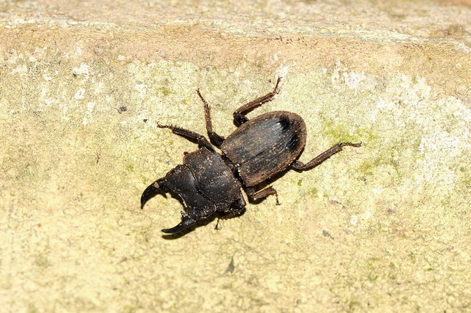 按此在新視窗瀏覽圖片