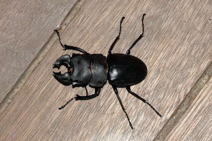 按此在新視窗瀏覽圖片