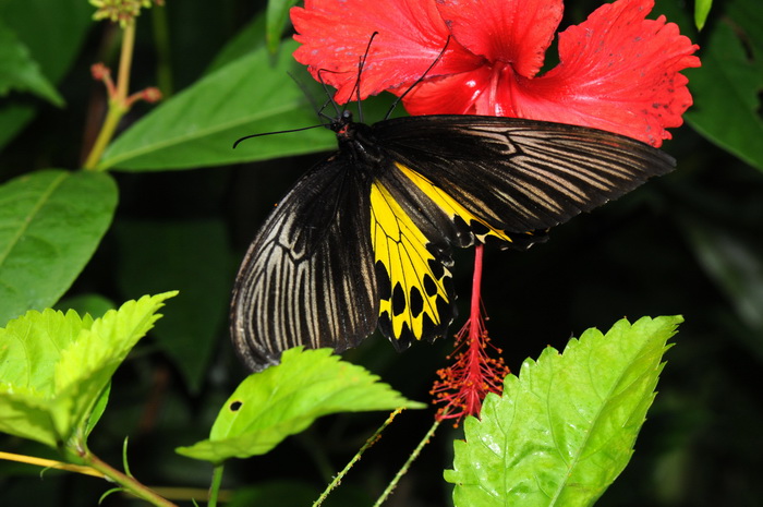 按此在新視窗瀏覽圖片