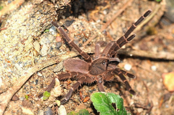 按此在新視窗瀏覽圖片