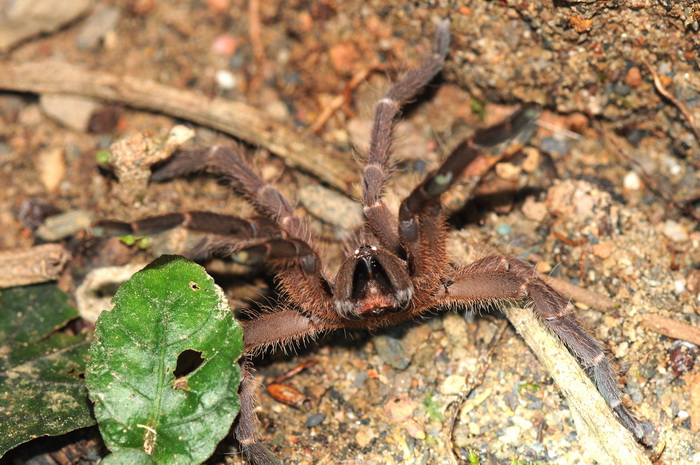 按此在新視窗瀏覽圖片