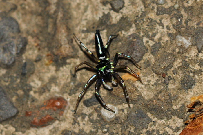 按此在新視窗瀏覽圖片