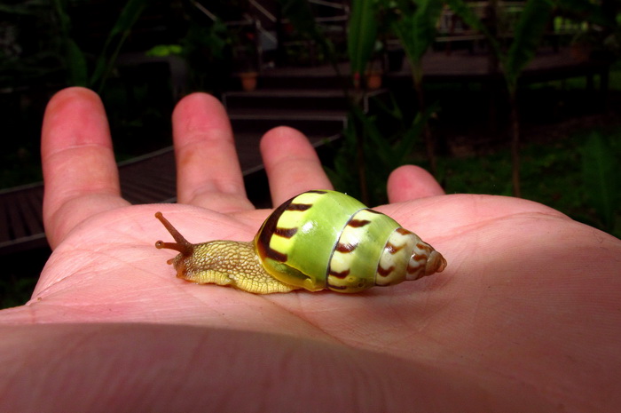 按此在新視窗瀏覽圖片