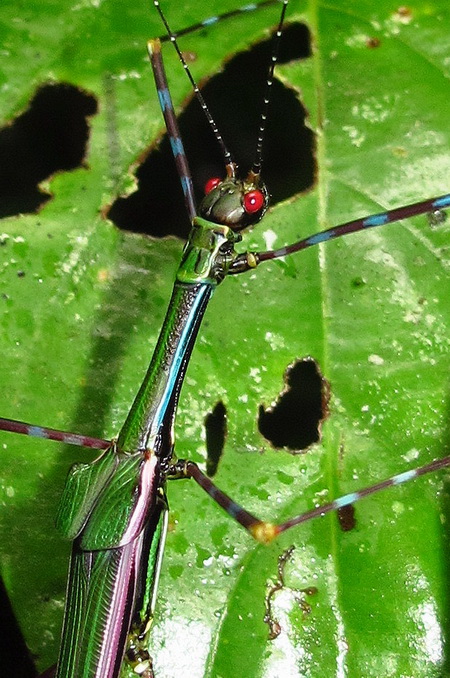 按此在新視窗瀏覽圖片