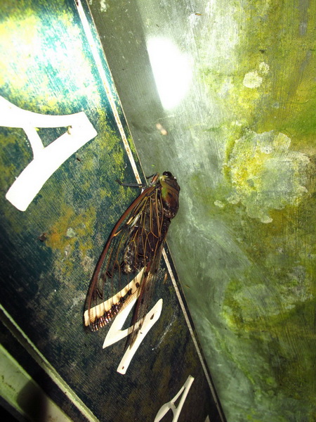 按此在新視窗瀏覽圖片