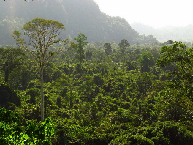 «ö¦¹¦b·sµøµ¡ÂsÄý¹Ï¤ù