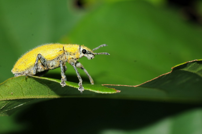 «ö¦¹¦b·sµøµ¡ÂsÄý¹Ï¤ù