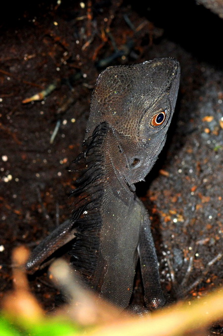 «ö¦¹¦b·sµøµ¡ÂsÄý¹Ï¤ù