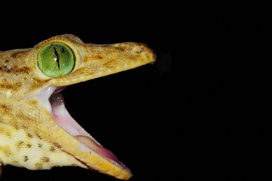 «ö¦¹¦b·sµøµ¡ÂsÄý¹Ï¤ù