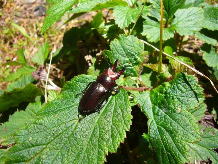 «ö¦¹¦b·sµøµ¡ÂsÄý¹Ï¤ù