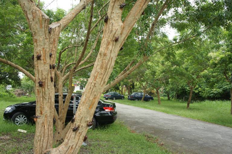 按此在新視窗瀏覽圖片