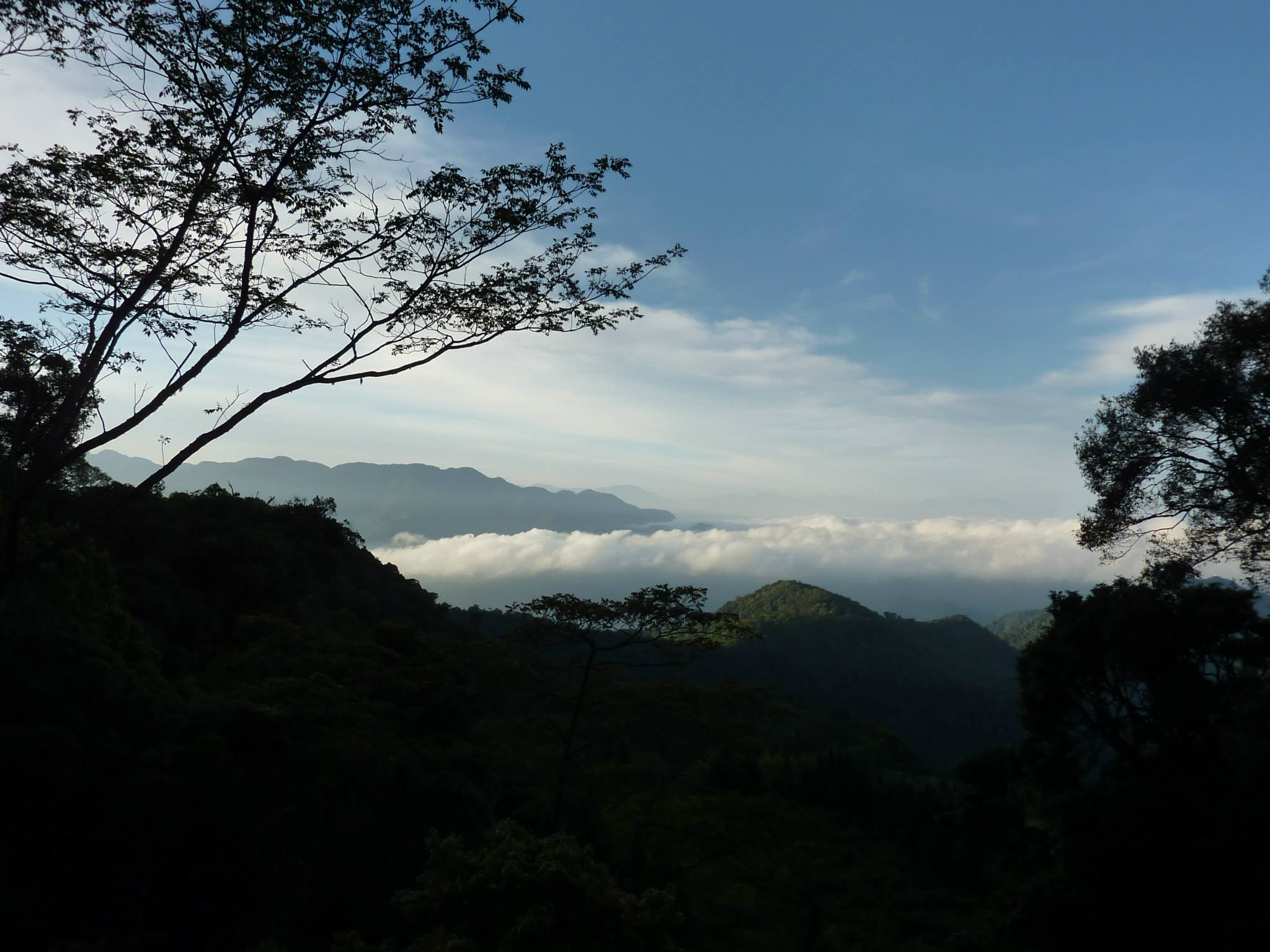 按此在新視窗瀏覽圖片