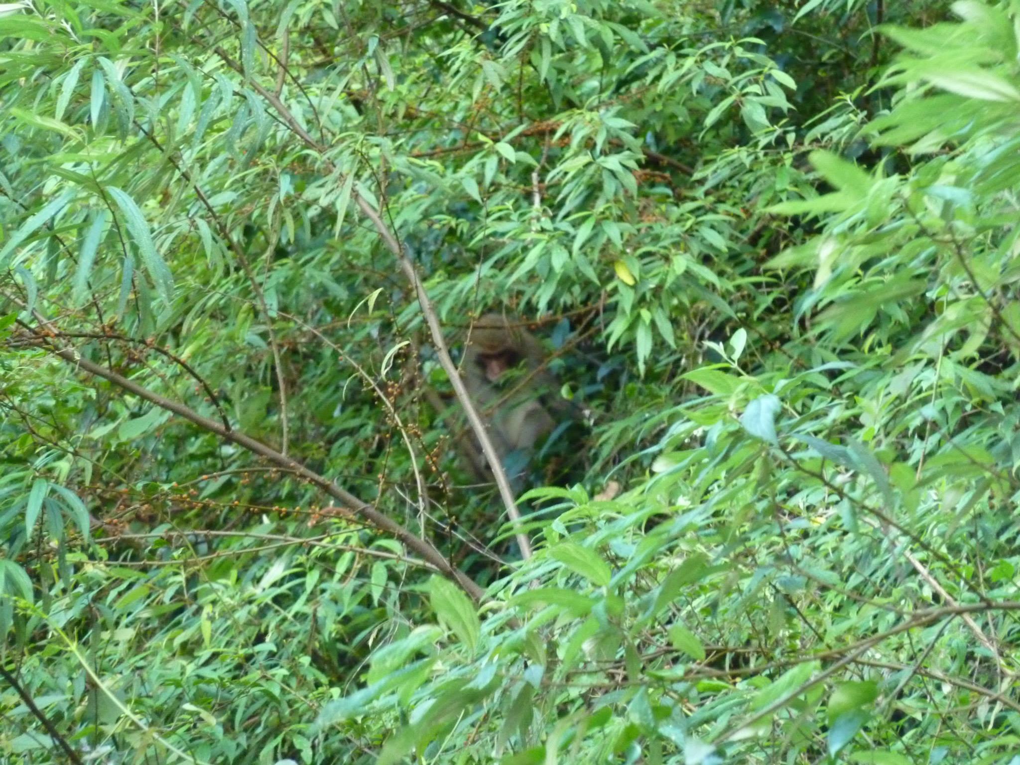 按此在新視窗瀏覽圖片