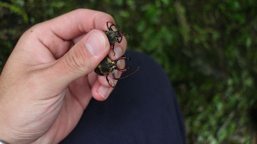 «ö¦¹¦b·sµøµ¡ÂsÄý¹Ï¤ù