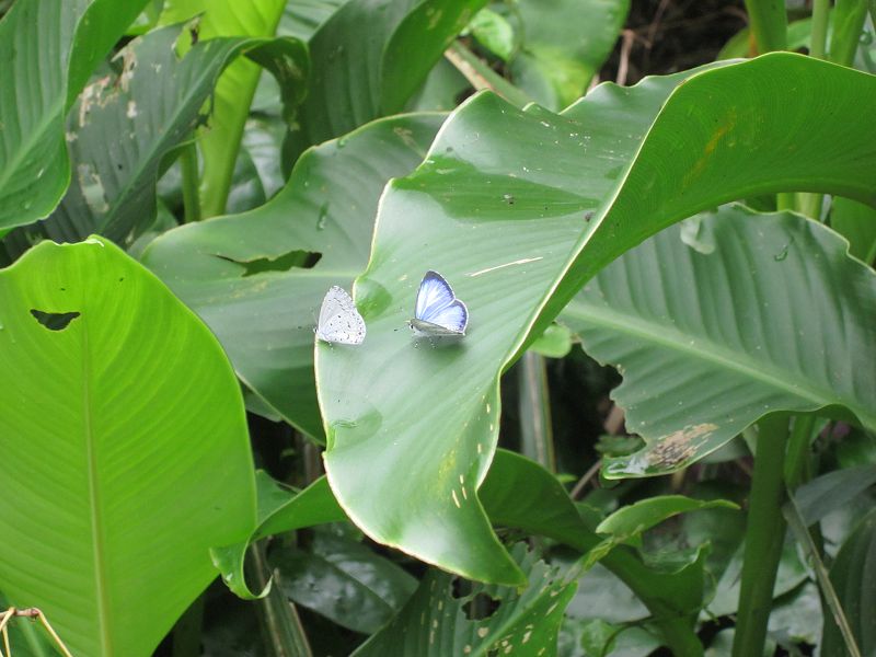 «ö¦¹¦b·sµøµ¡ÂsÄý¹Ï¤ù