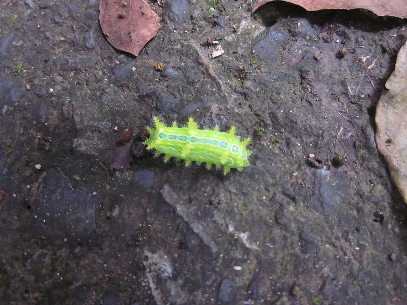 «ö¦¹¦b·sµøµ¡ÂsÄý¹Ï¤ù