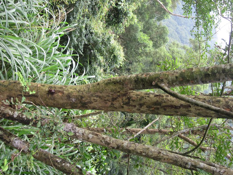 «ö¦¹¦b·sµøµ¡ÂsÄý¹Ï¤ù