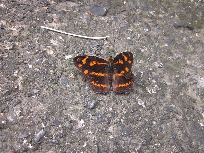 «ö¦¹¦b·sµøµ¡ÂsÄý¹Ï¤ù