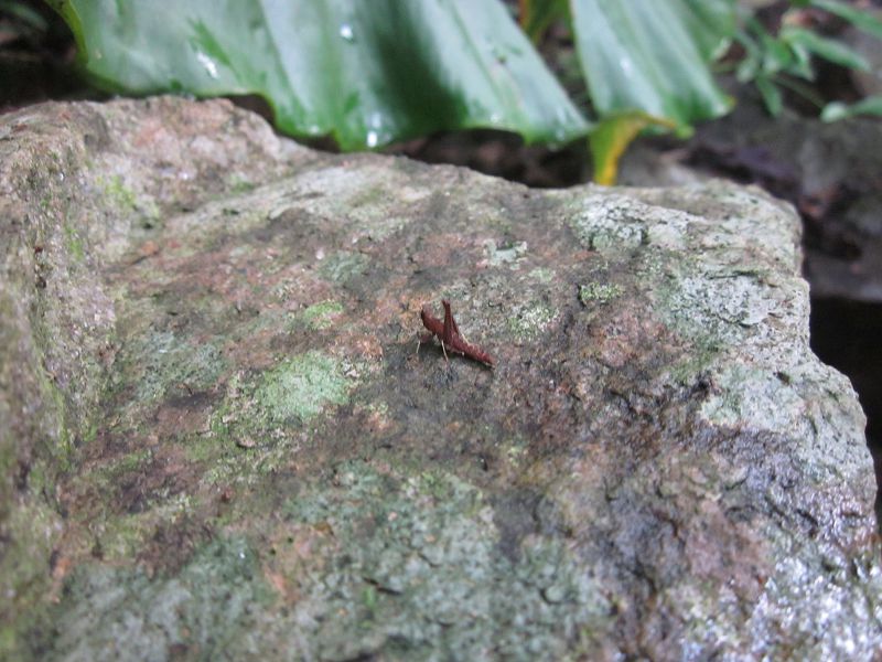 «ö¦¹¦b·sµøµ¡ÂsÄý¹Ï¤ù