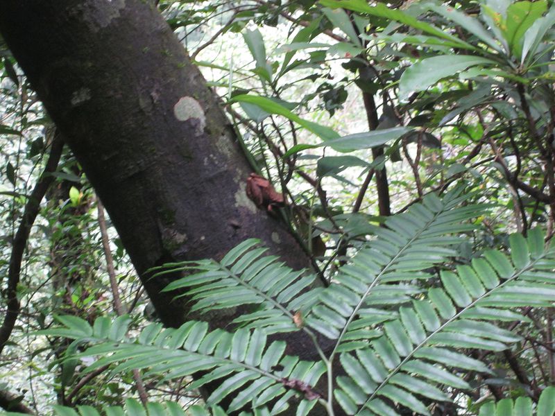 «ö¦¹¦b·sµøµ¡ÂsÄý¹Ï¤ù