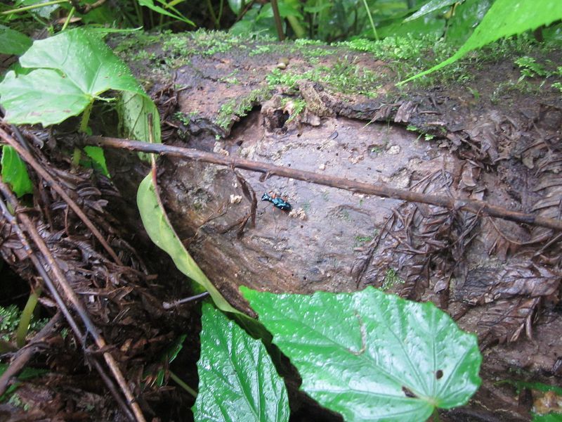 «ö¦¹¦b·sµøµ¡ÂsÄý¹Ï¤ù