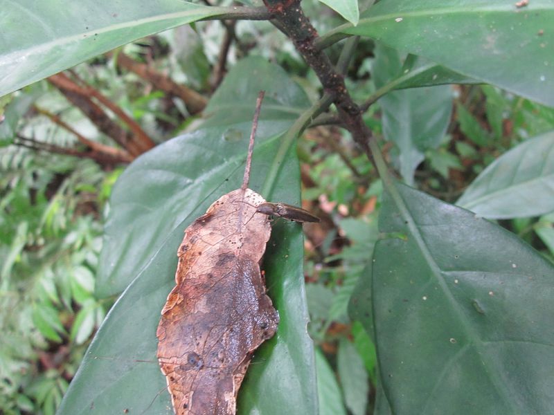 «ö¦¹¦b·sµøµ¡ÂsÄý¹Ï¤ù