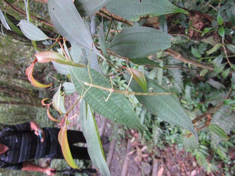 «ö¦¹¦b·sµøµ¡ÂsÄý¹Ï¤ù