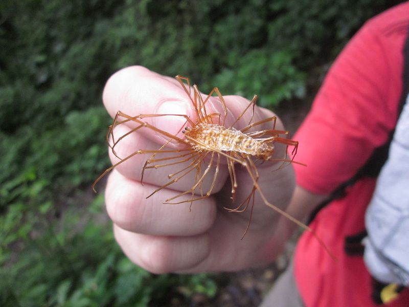 «ö¦¹¦b·sµøµ¡ÂsÄý¹Ï¤ù