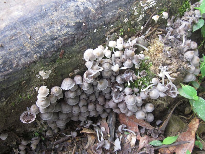 «ö¦¹¦b·sµøµ¡ÂsÄý¹Ï¤ù