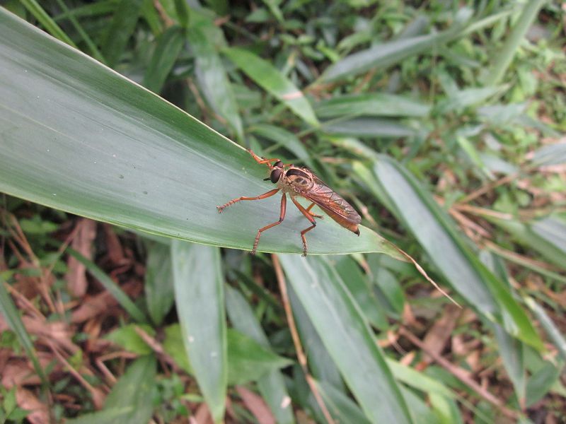 «ö¦¹¦b·sµøµ¡ÂsÄý¹Ï¤ù