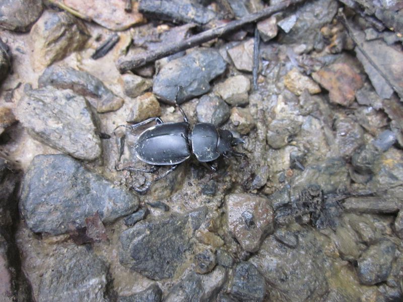 «ö¦¹¦b·sµøµ¡ÂsÄý¹Ï¤ù