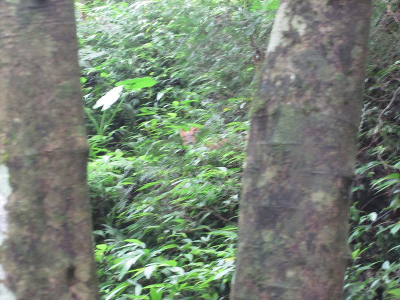 «ö¦¹¦b·sµøµ¡ÂsÄý¹Ï¤ù