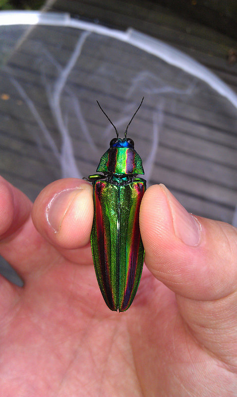 «ö¦¹¦b·sµøµ¡ÂsÄý¹Ï¤ù