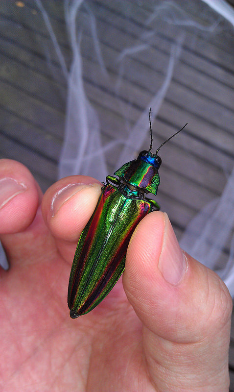 «ö¦¹¦b·sµøµ¡ÂsÄý¹Ï¤ù