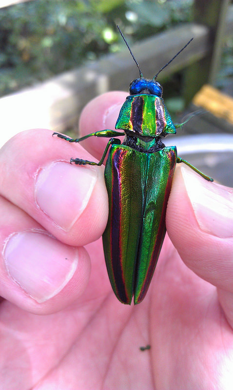 «ö¦¹¦b·sµøµ¡ÂsÄý¹Ï¤ù