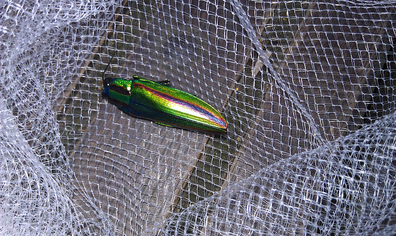 «ö¦¹¦b·sµøµ¡ÂsÄý¹Ï¤ù