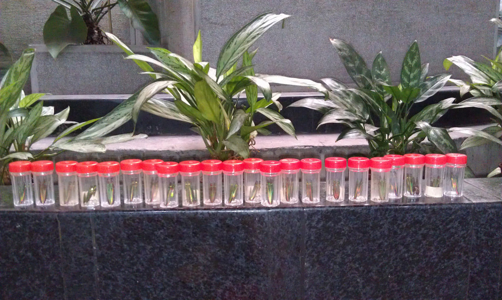 «ö¦¹¦b·sµøµ¡ÂsÄý¹Ï¤ù