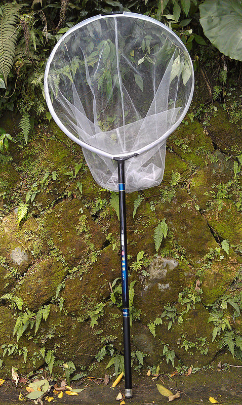 «ö¦¹¦b·sµøµ¡ÂsÄý¹Ï¤ù