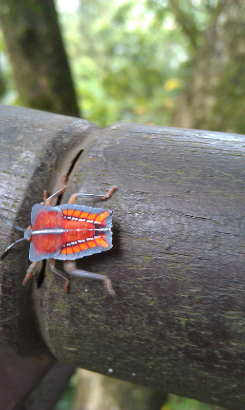 «ö¦¹¦b·sµøµ¡ÂsÄý¹Ï¤ù