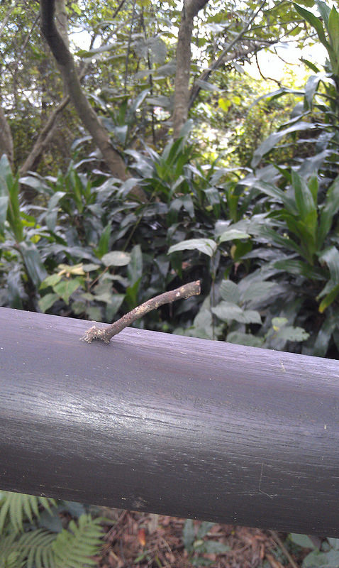 «ö¦¹¦b·sµøµ¡ÂsÄý¹Ï¤ù