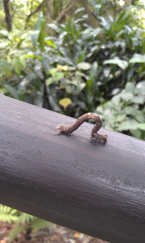 «ö¦¹¦b·sµøµ¡ÂsÄý¹Ï¤ù