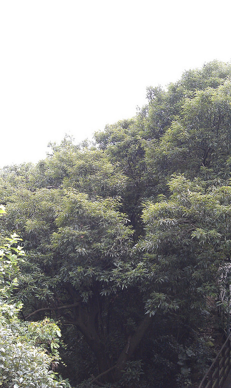 «ö¦¹¦b·sµøµ¡ÂsÄý¹Ï¤ù