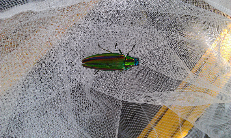 «ö¦¹¦b·sµøµ¡ÂsÄý¹Ï¤ù