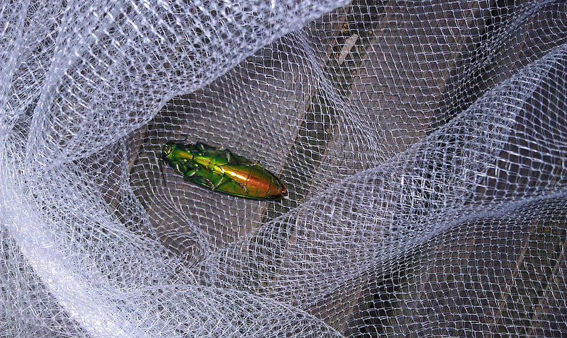 «ö¦¹¦b·sµøµ¡ÂsÄý¹Ï¤ù