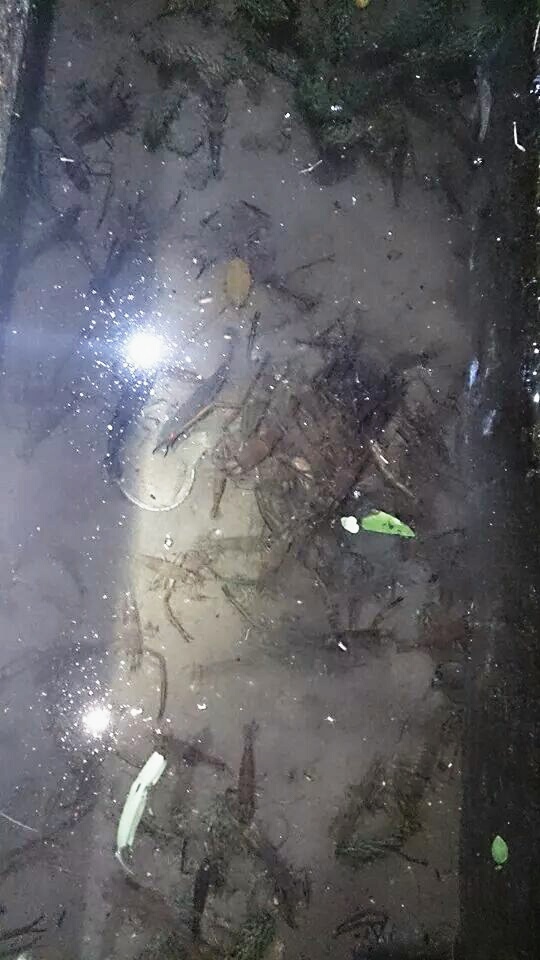 «ö¦¹¦b·sµøµ¡ÂsÄý¹Ï¤ù