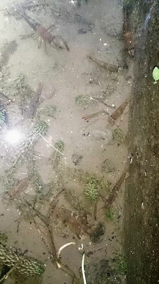 «ö¦¹¦b·sµøµ¡ÂsÄý¹Ï¤ù