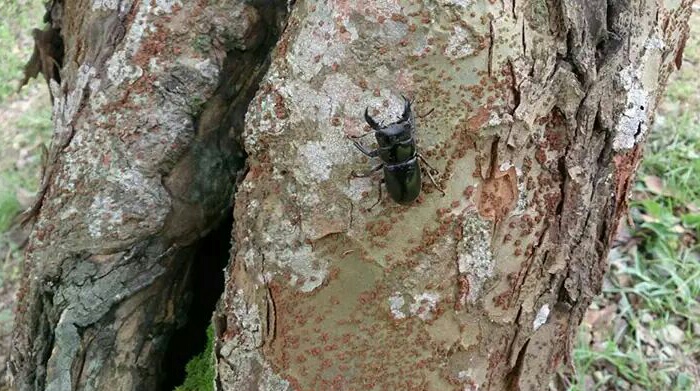 «ö¦¹¦b·sµøµ¡ÂsÄý¹Ï¤ù